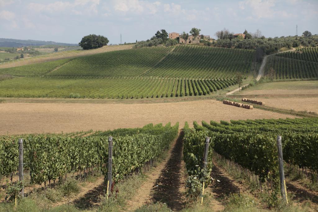 Agriturismo Spazzavento ヴィンチ エクステリア 写真